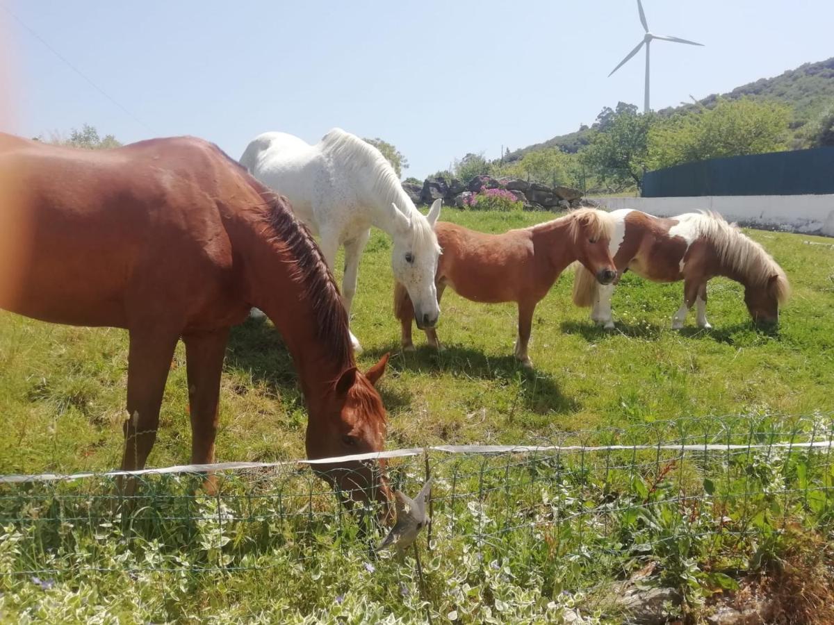 Casinha Da Lareira - Quintinha Dos Cavalos- Arruda Dos Vinhos Exterior foto