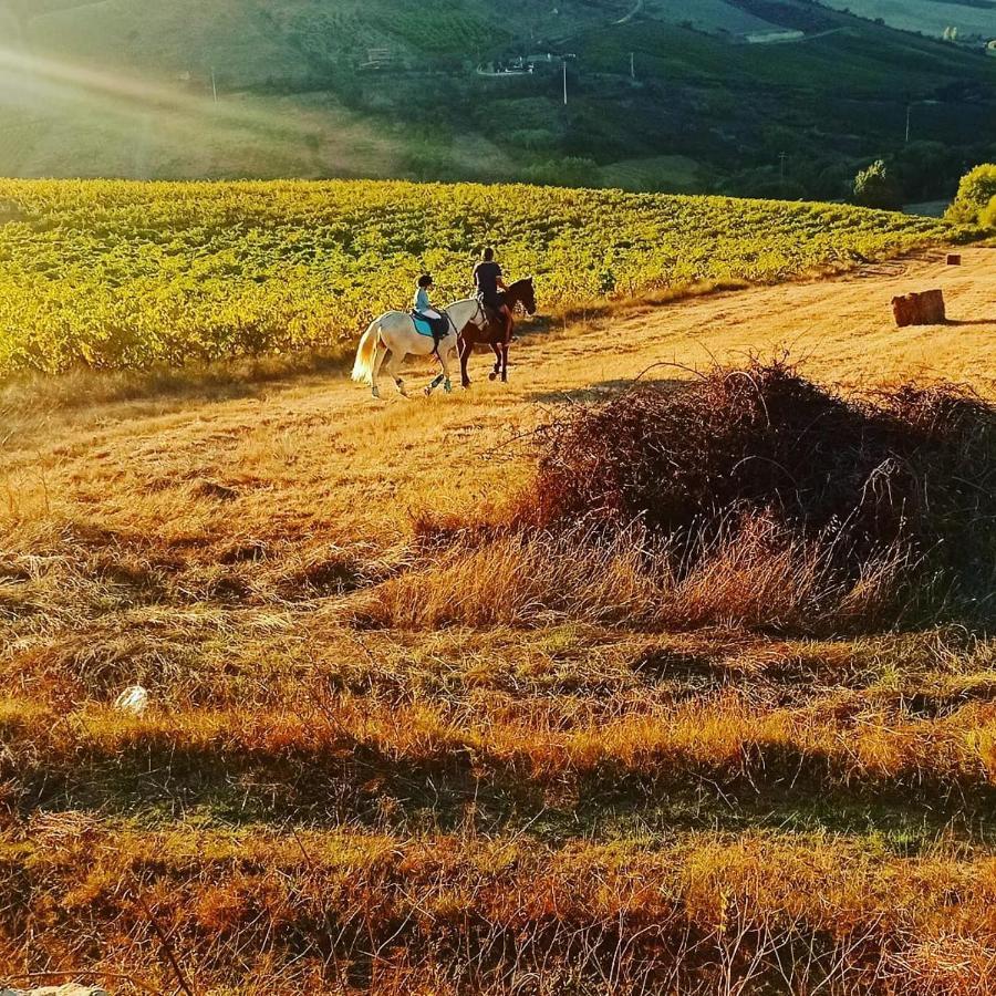 Casinha Da Lareira - Quintinha Dos Cavalos- Arruda Dos Vinhos Exterior foto